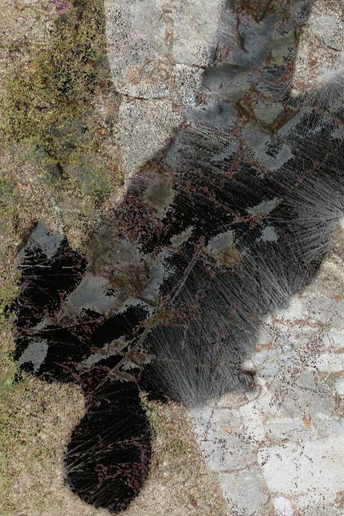 Presence (2021) poster