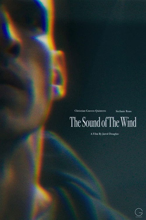 The Sound of the Wind (2020) poster