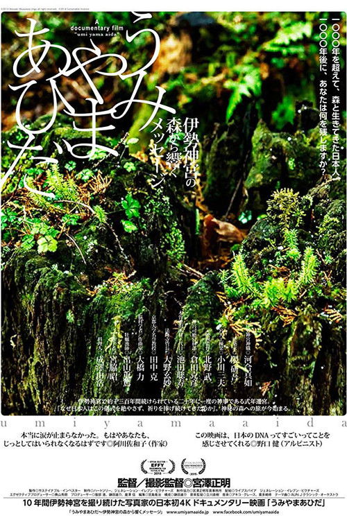 In Between Mountains and Oceans (2014) poster