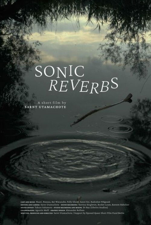 Sonic Reverbs (2022) poster