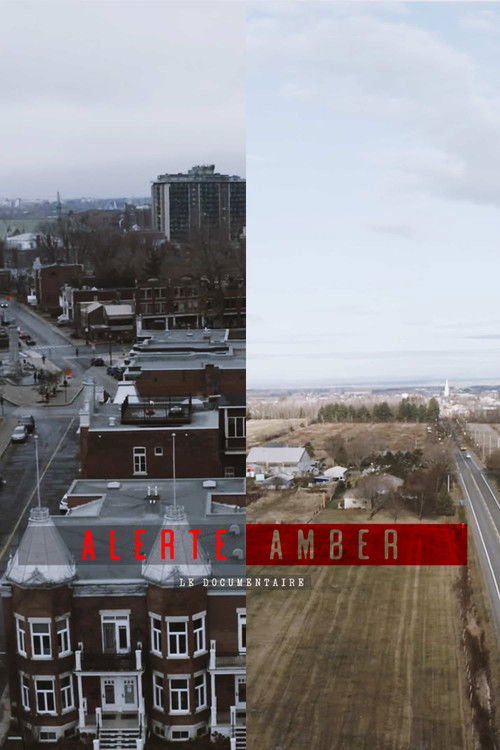 Alerte amber : le documentaire (2022) poster