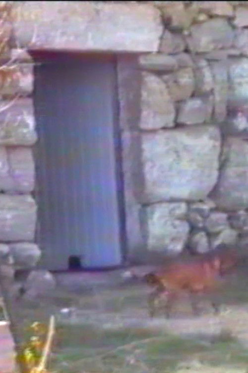 O Palheiro (1998) poster