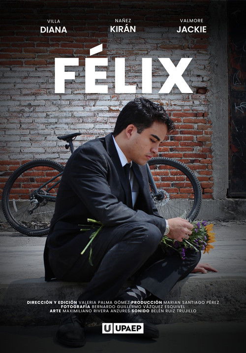 FELIX (2023) poster