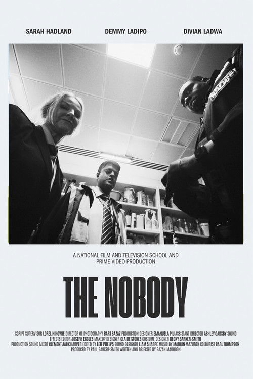 The Nobody (2024) poster