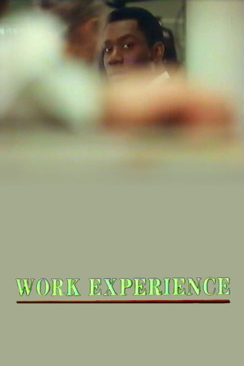 Work Experience (1989) poster