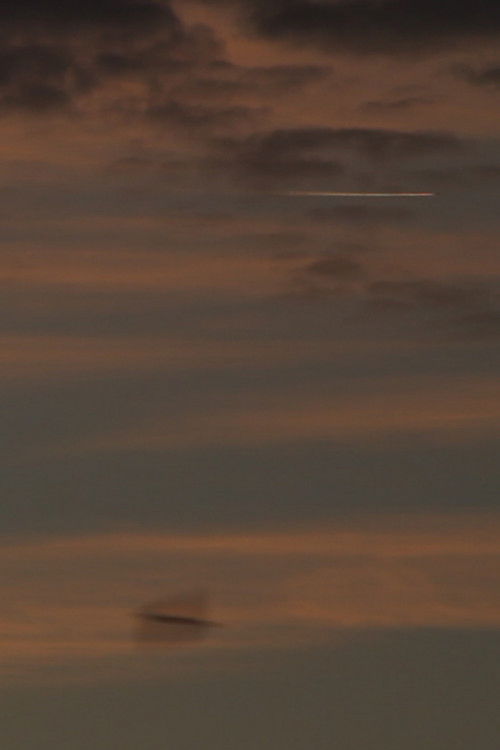 Cherokee (2020) poster