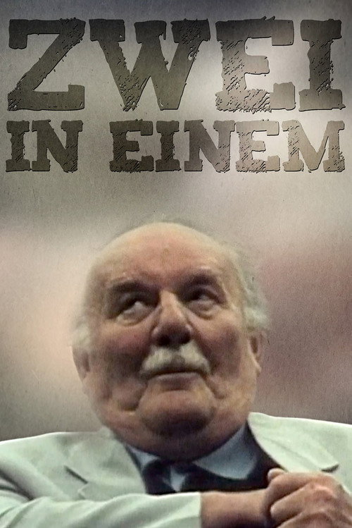 Two in One (2001) poster