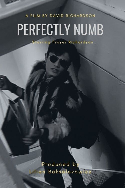 Perfectly Numb (2021) poster