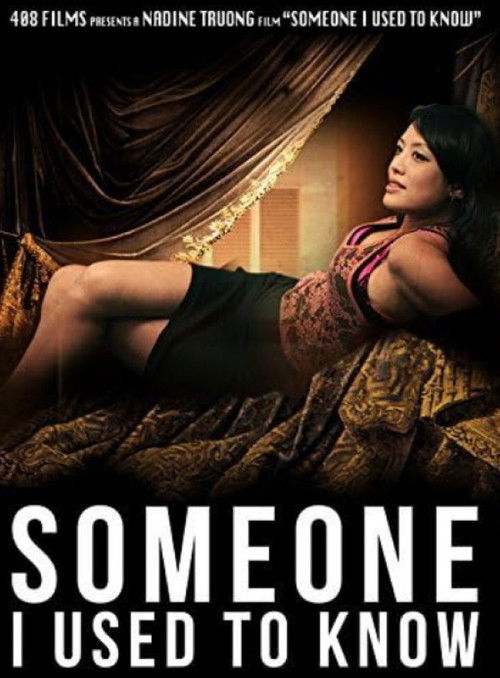 Someone I Used to Know (2013) poster