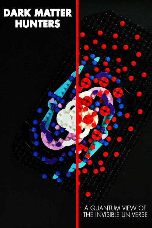 Dark Matter Hunters: a Quantum View of the Invisible Universe (2024) poster