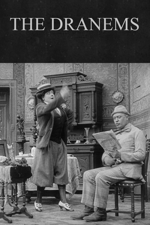 Le Ménage Dranem (1913) poster