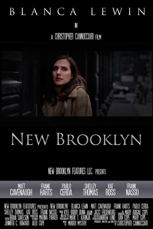 New Brooklyn (2009) poster