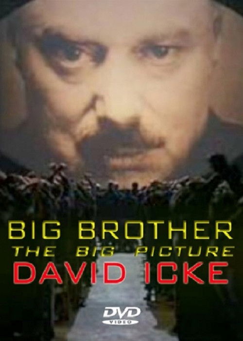 Big Brother: The Big Picture (2008) poster