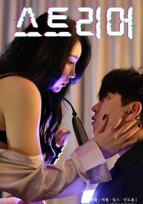 Adult Streamer (2023) poster