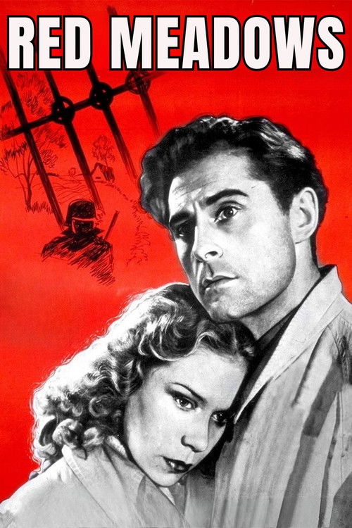 Red Meadows (1945) poster