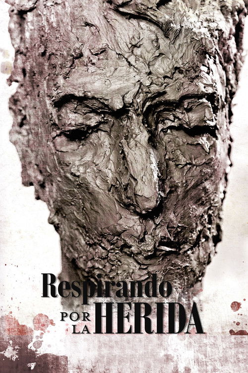 Respirando por la herida (2013) poster