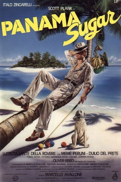 Panama Sugar (1990) poster