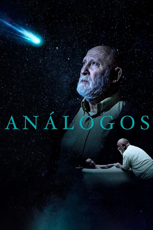 Análogos (2024) poster