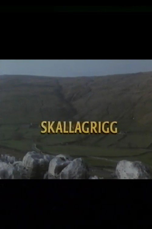 Skallagrigg (1994) poster