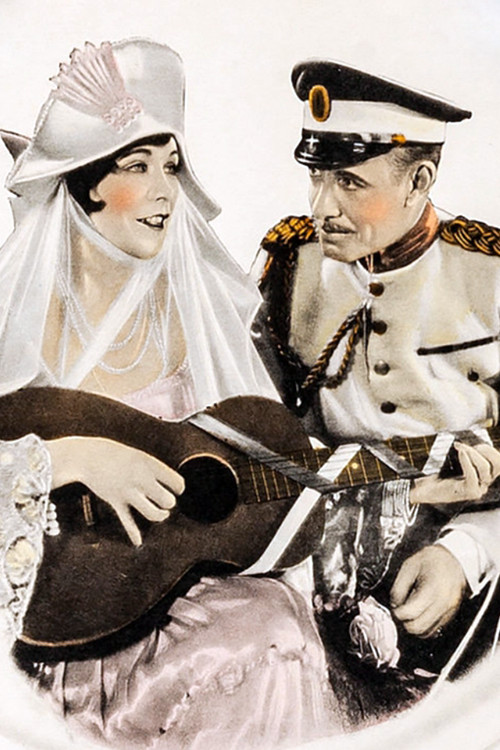 The Lady Who Lied (1925) poster