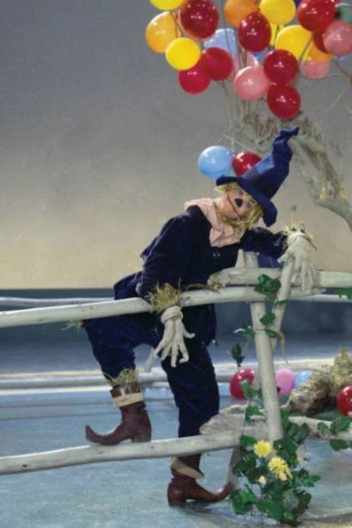 The Rainbow Road to Oz (1957) poster