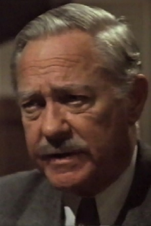 Beautiful Lies (1992) poster