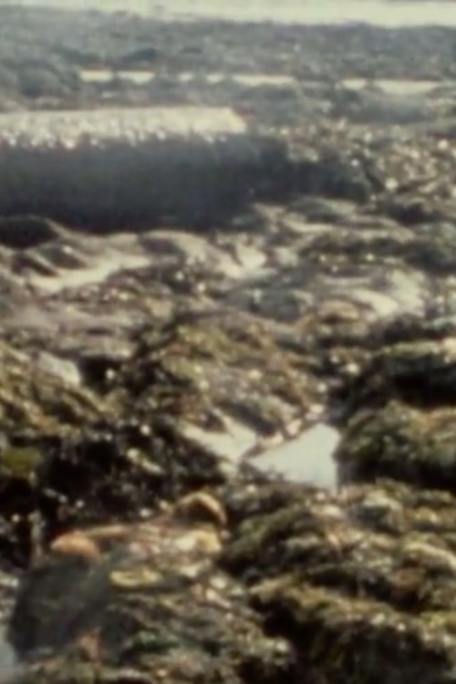 After the Bohlen (1976) poster