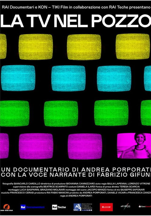 La tv nel pozzo (2024) poster