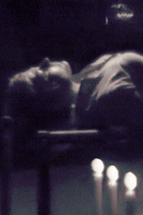 Action Autoportrait(s) (1973) poster