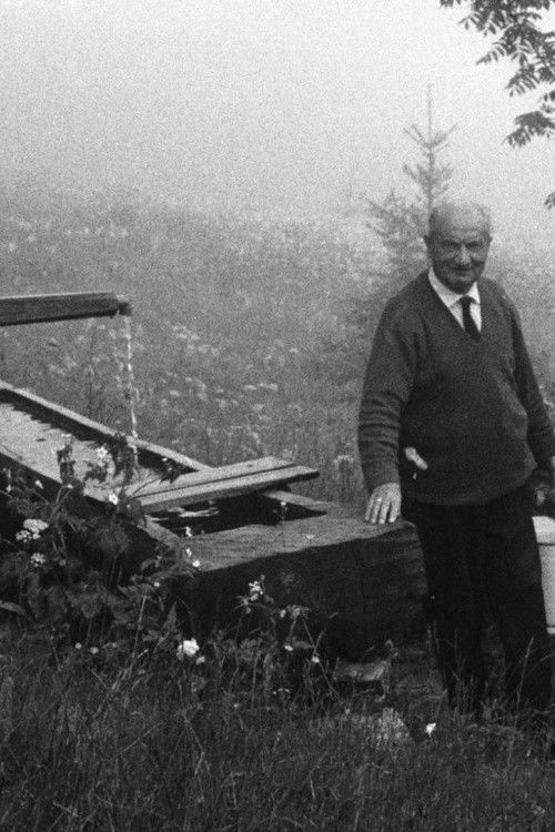 In-Freiburg-Sein (2013) poster