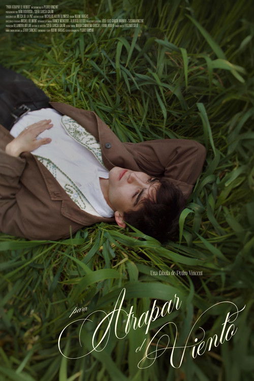 Para atrapar el viento (2026) poster