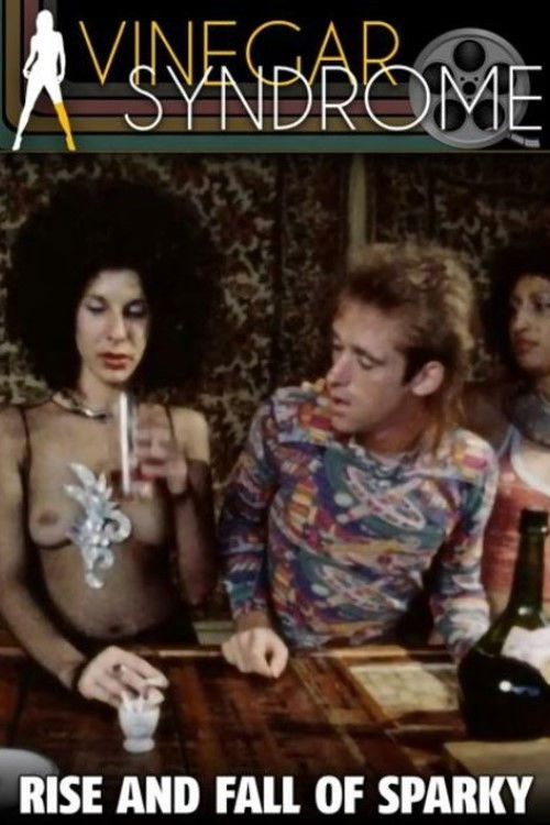 Rise and Fall of Sparkle (1977) poster