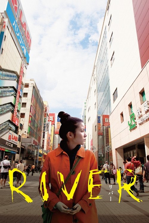 River (2011) poster