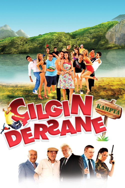 Çılgın Dersane Kampta (2008) poster