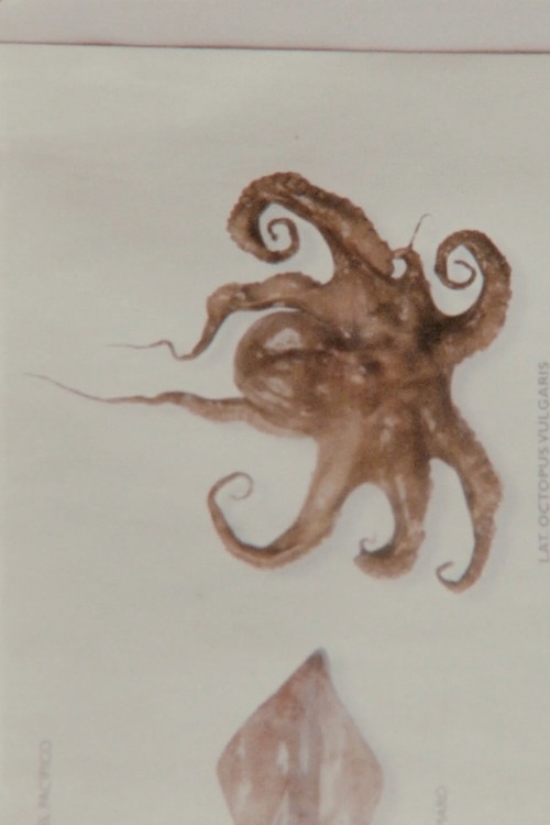 The West Pole (2022) poster