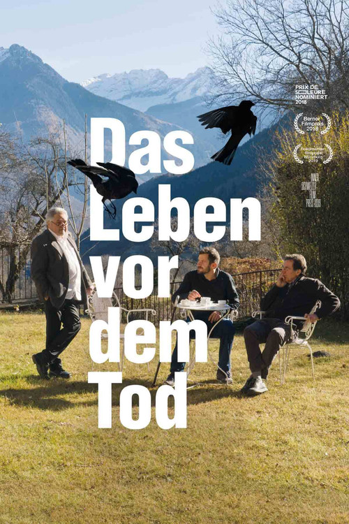 Das Leben vor dem Tod (2018) poster