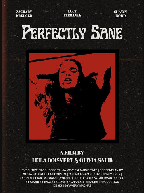 Perfectly Sane poster