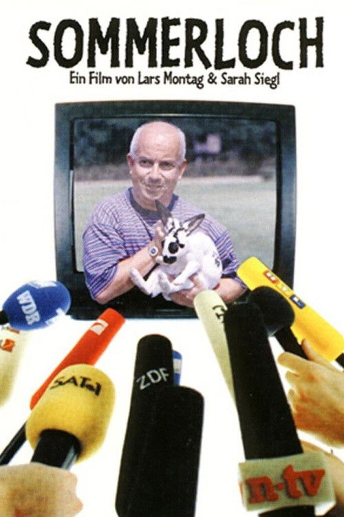 Sommerloch (1995) poster