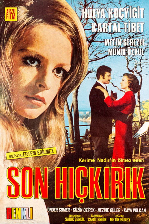 Son Hıçkırık (1971) poster