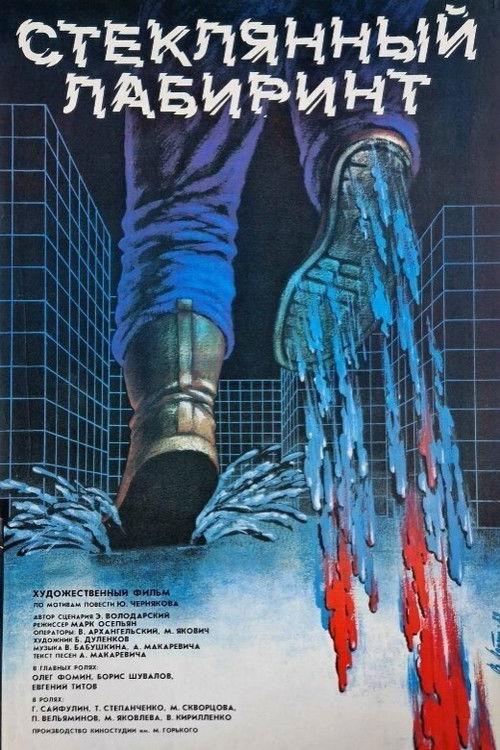 Glass Labyrinth (1989) poster