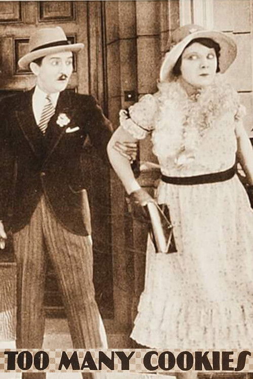 Too Many Cookies (1928) poster