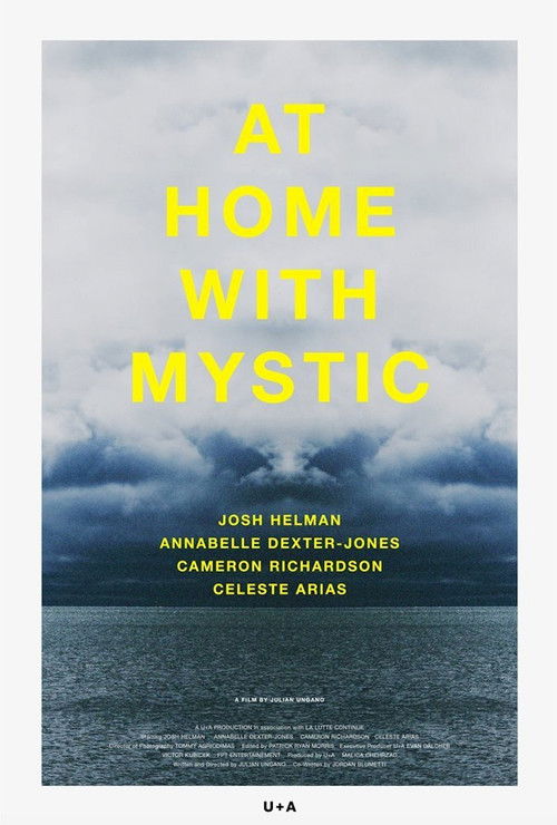 At Home with Mystic (2015) poster