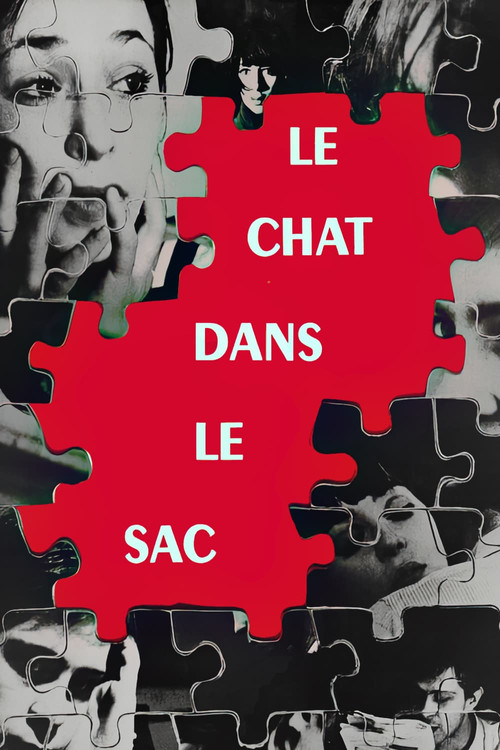 Le chat dans le sac (1964) poster