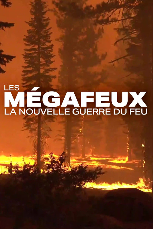 Les Mégafeux, la nouvelle guerre du feu (2022) poster