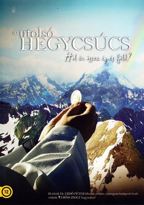 The last summit (2010) poster