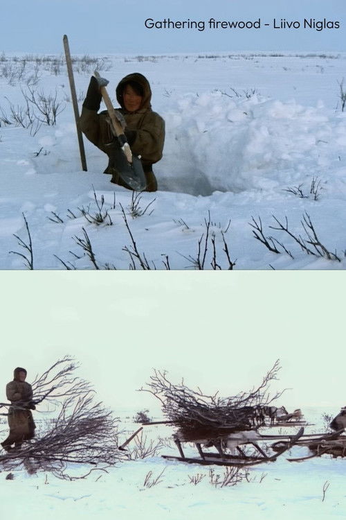 Gathering Firewood (2024) poster