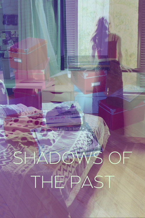 Shadows of the Past (2024) poster