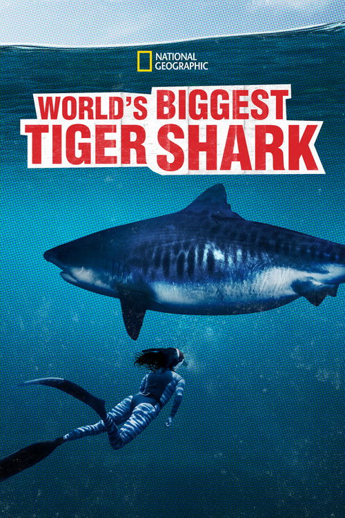 World's Biggest Tiger Shark (2020) poster