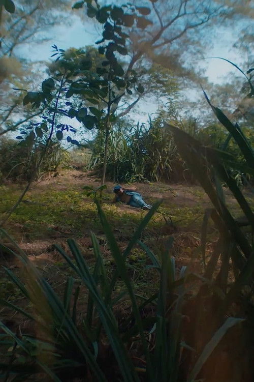 Becquerel (2022) poster