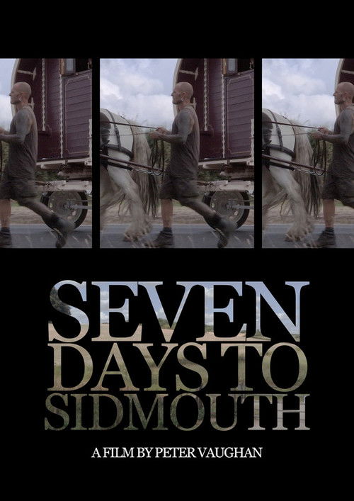 Seven Days To Sidmouth (2019) poster